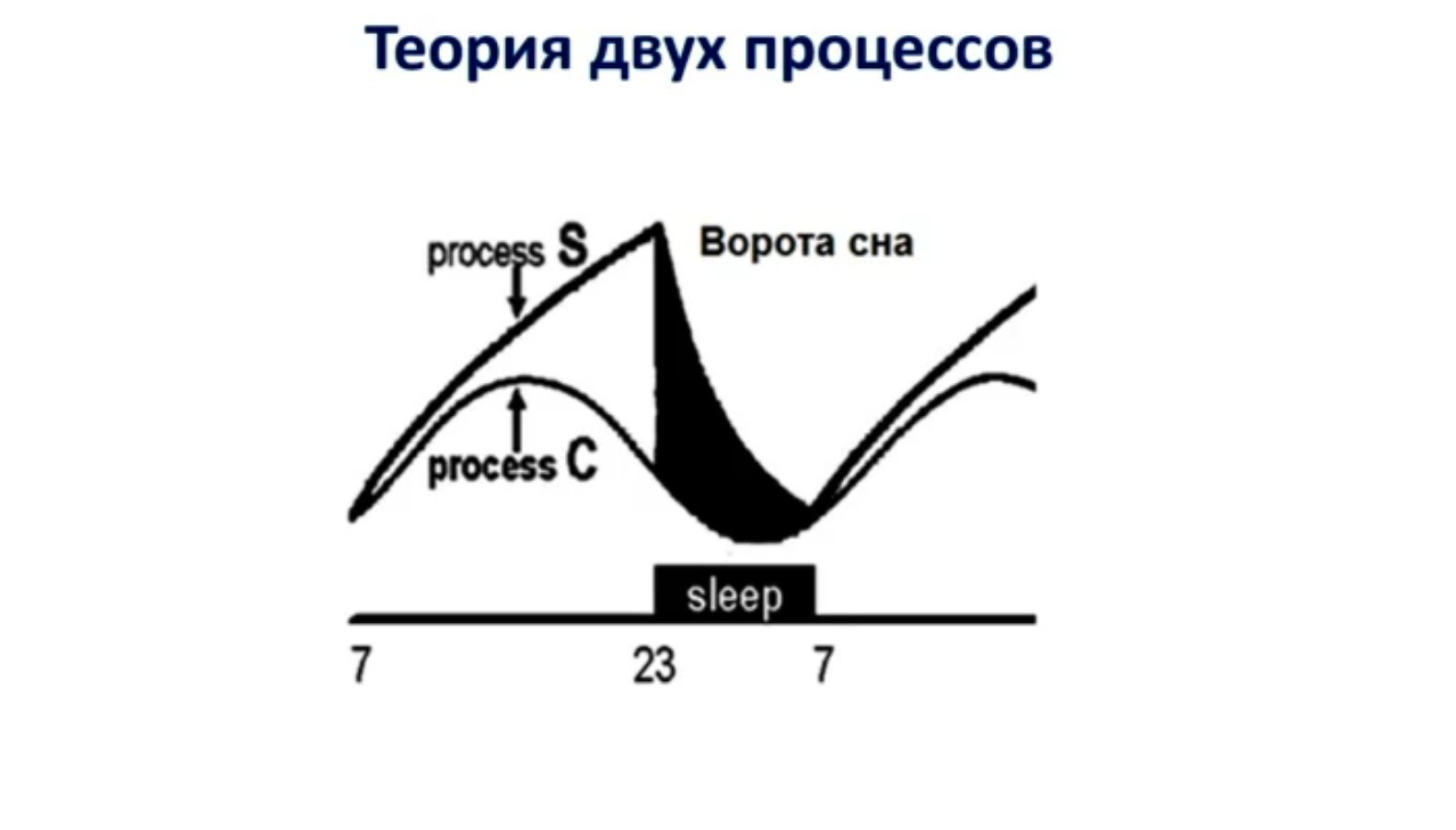 Секреты здорового сна