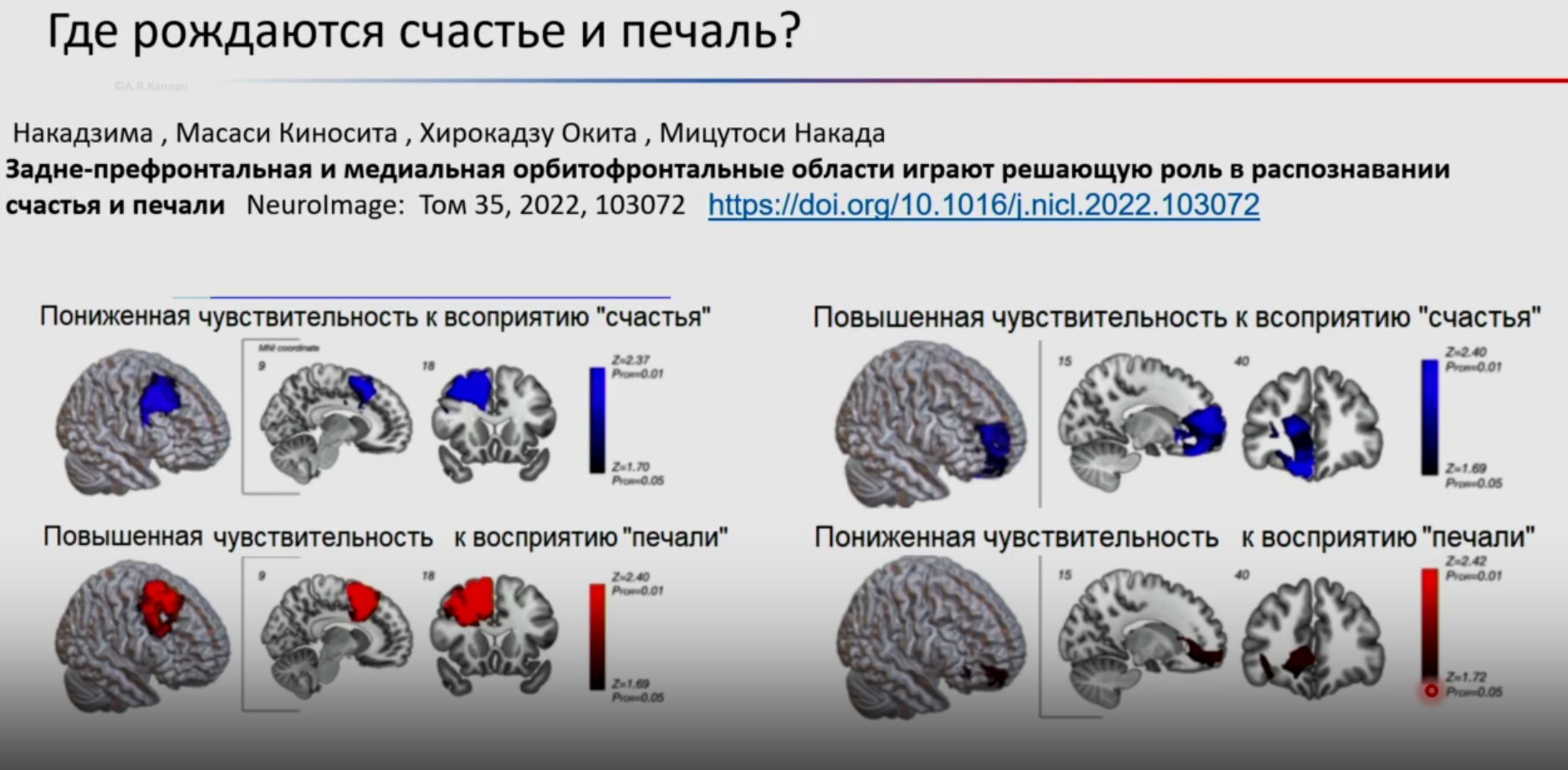 Счастье как победа над неопределенностью. Цитаты из лекции «Мозг в комфорте»