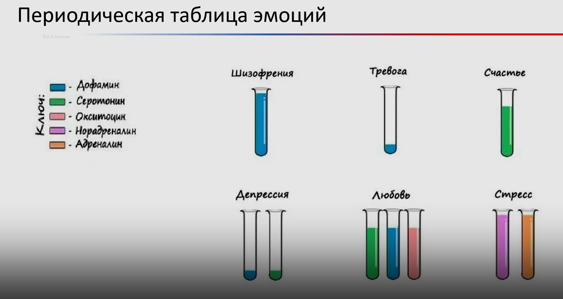 Счастье как победа над неопределенностью. Цитаты из лекции «Мозг в комфорте»